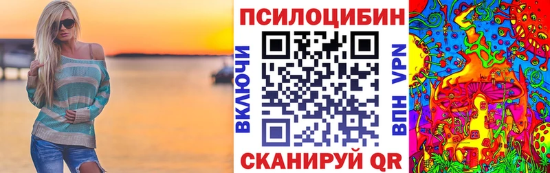 Псилоцибиновые грибы Cubensis  Енисейск 
